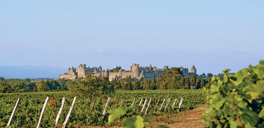Les vignobles Foncalieu au pied de la cité de Carcassonne. @ DR