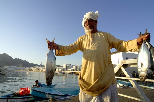 Marché aux poissons de Muttrah. @ OT Oman
