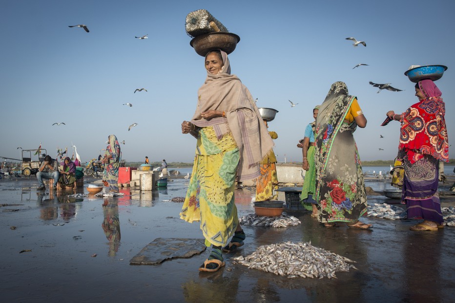 Diu Marché aux poissons      .©Fabrice Dimier