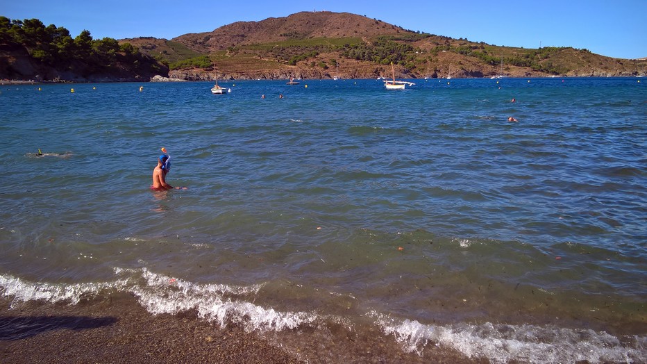 Côte Vermeille - Anse Paullilles  @ David_Raynal Côte Vermeille - Anse Paullilles  @ David_Raynal