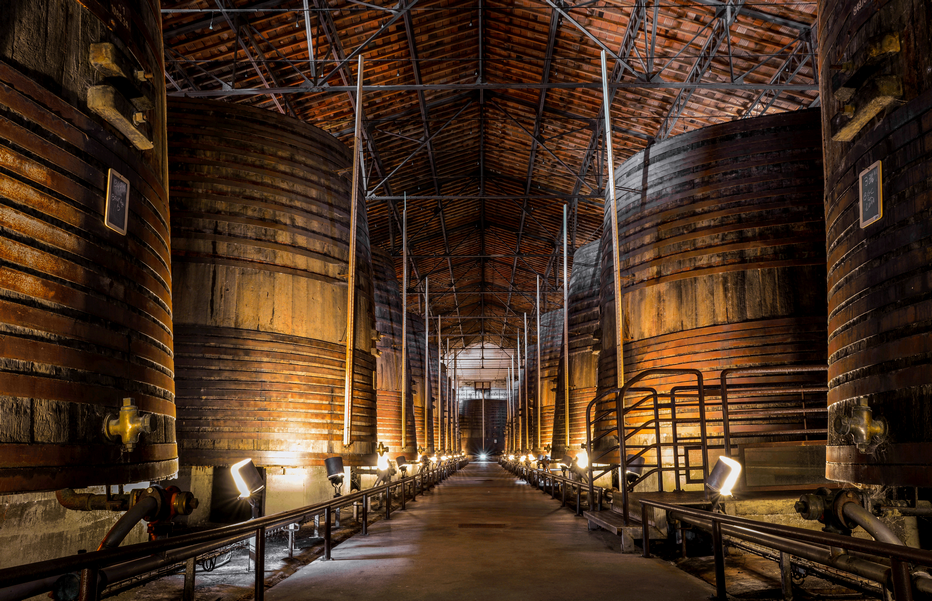 Grande-Cave. Terres des Templiers 750 vignerons exploitant 1250 hectares de vignes, ce qui représente l’équivalent de 75% de la production du Cru. @photo Damien Malejacq