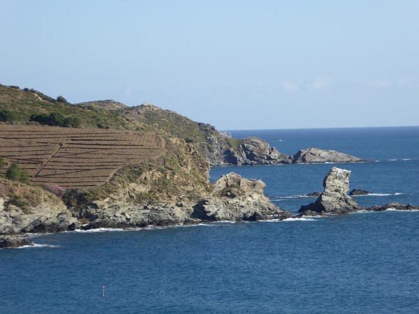 La côte à Banyuls - @ C.Gary