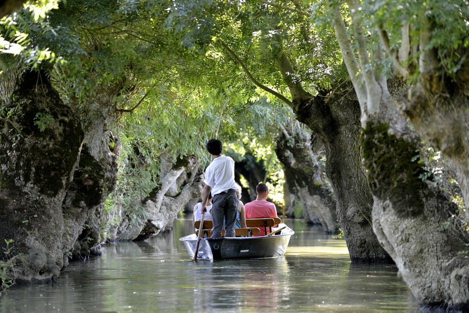 Du Marais Poitevin A Noirmoutier Voici Quelques Perles De Vendee