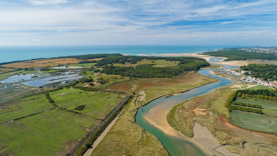 L'estuaire du Payré. @ V Joncheray