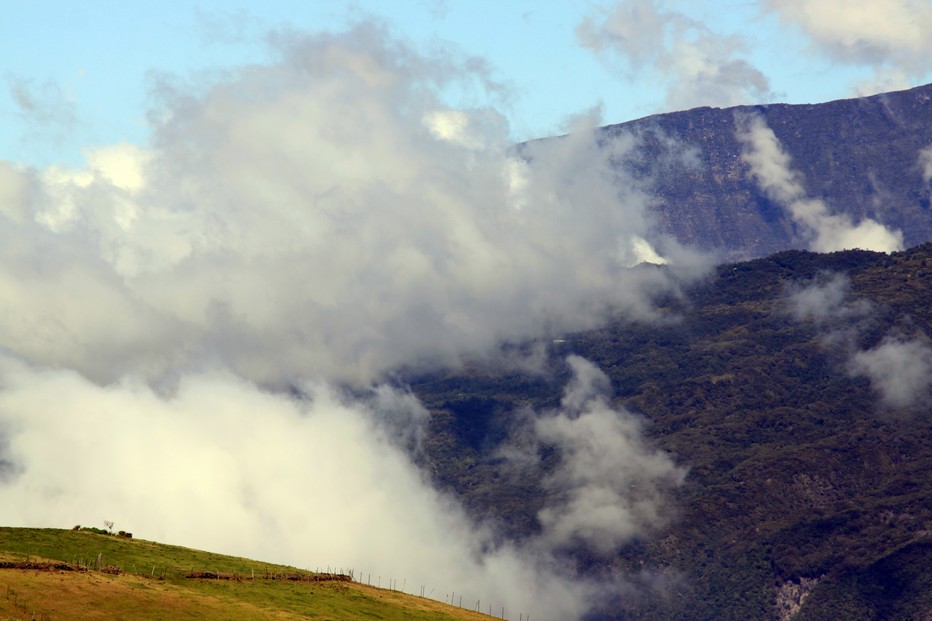 La Réunion : Un peu de verdure et vue sur un paysage lunaire. @ David Raynal