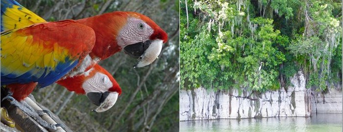 De gauche à droite. Les surprises d'une balade dans le parc naturel du lac Yojoa ;et  le matin sur la lac Yojoa @ C.G.