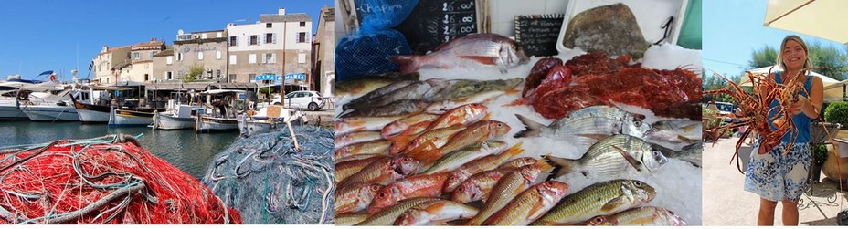 De gauche à droite : St-Florent et la richesse de la pêche dans le cap Corse avec une grande variété de poissons et les belles langoustes de Centuri. @ David Raynal