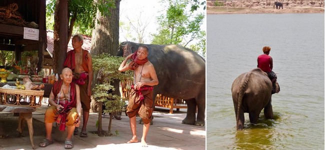 Chamans au village des éléphants de Ban Ta Klang. et  l'heure du bain dans les eaux du Mékong  @ C.G. Chamans au village des éléphants de Ban Ta Klang. et  l'heure du bain dans les eaux du Mékong  @ C.G.