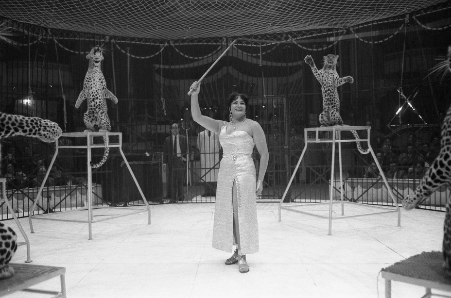 En 1967, le monde de la piste aux étoiles pour Arlette et ses panthères. ©Fabrice Vallon/Cirque Arlette Gruss