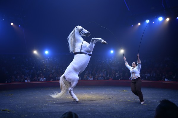 Laure-Maria (petite-fille d’Arlette, fille de Linda et Gilbert) et le talent en héritage. ©Fabrice Vallon/Cirque Arlette Gruss