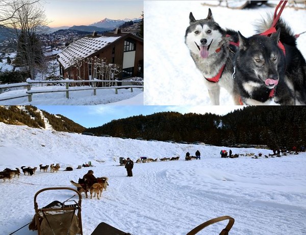 Au cœur du domaine du Grand Massif à la station des Carroz-d’Arâches en Haute-Savoie, Huskydalen propose de découvrir, hiver comme été, les balades avec des chiens de traineau. @David Raynal
