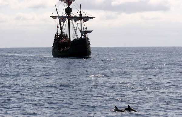 Dans la seconde moitié du 15e siècle et au début du 16e, Funchal est devenu un port de premier ordre, une escale obligatoire pour les routes commerciales européennes notamment vers les Amériques. Réplique du bateau de Christophe Colomb, devant des dauphins@ David Raynal