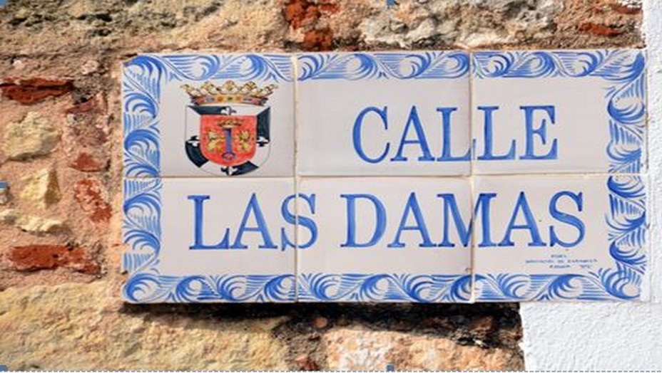 À Saint-Domingue, la Calle de la Damas ou la « rue des dames » est la première rue pavée des Amériques. D’anciens bâtiments coloniaux datant du XVIe siècle et désormais convertis en musées, ambassades et hôtels haut de gamme bordent cette rue pittoresque et étroite. Le soir, María de Toledo et ses dames sortaient du palais et se promenaient en descendant la Calle Las Damas conduisant directement à l’Alcazar de Colón. Crédit photo David Raynal. À Saint-Domingue, la Calle de la Damas ou la « rue des dames » est la première rue pavée des Amériques. D’anciens bâtiments coloniaux datant du XVIe siècle et désormais convertis en musées, ambassades et hôtels haut de gamme bordent cette rue pittoresque et étroite. Le soir, María de Toledo et ses dames sortaient du palais et se promenaient en descendant la Calle Las Damas conduisant directement à l’Alcazar de Colón. Crédit photo David Raynal.