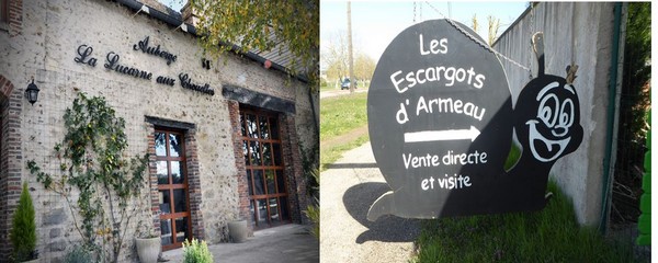 Lucarne aux chouettes © La Lucarne aux Chouettes à Villeneuve ; Escargots de Bourgogne d'Armeau entre Villeneuve et Joigny @ C.Gary