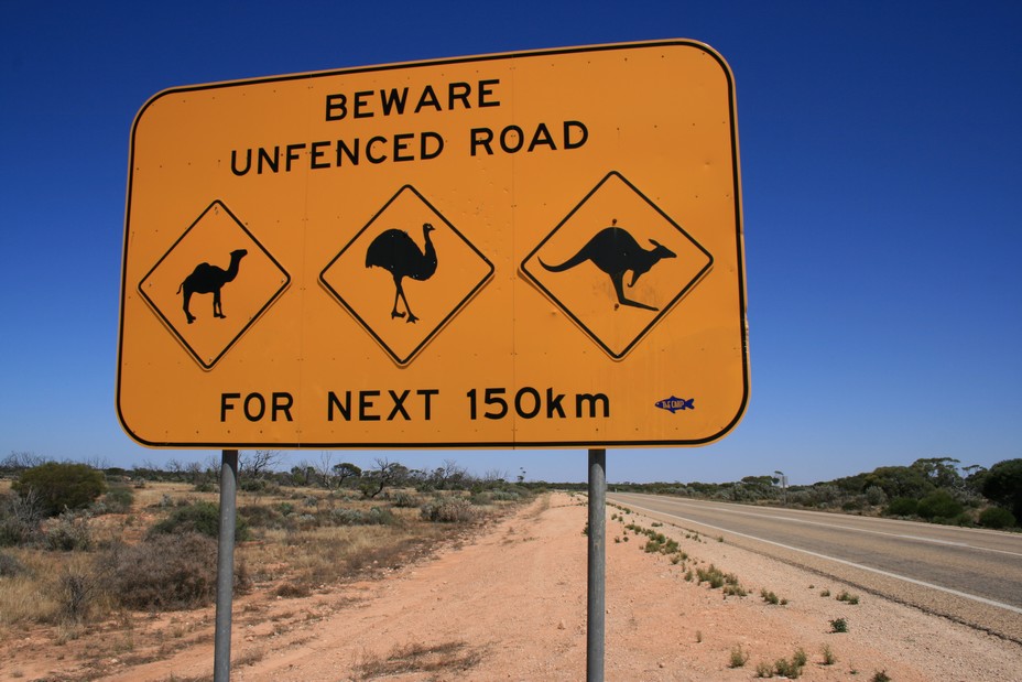L’Australie en famille et hors des sentiers battus !  @ Pixabay/Lindigomag