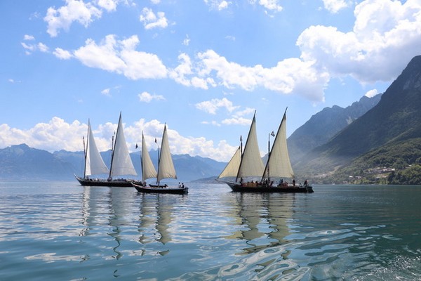 Voiles Latines ....@ Christophe- Evian Voiles Latines ....@ Christophe- Evian