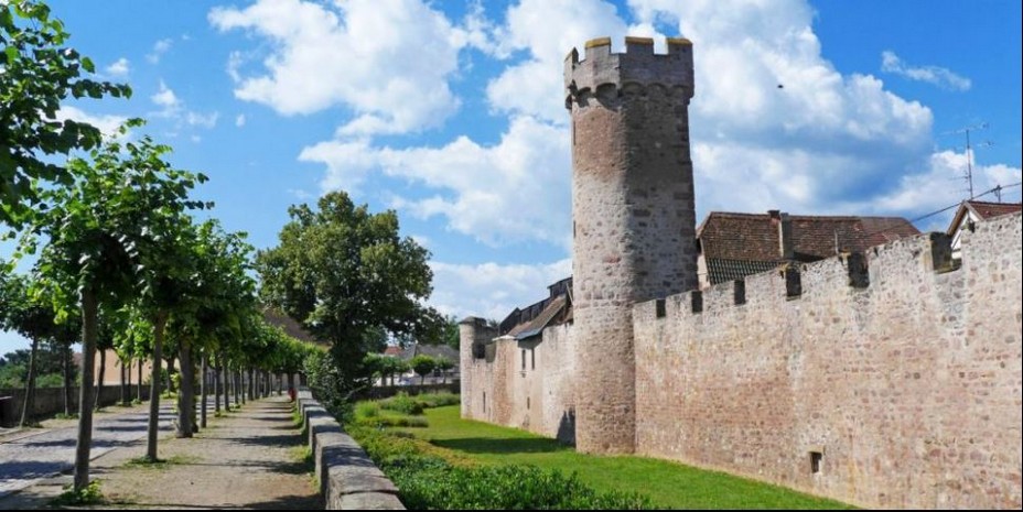 Faire aussi le tour des remparts, monter au mémorial des « incorporés de force » d’où la vue est stupéfiante @ OT Obernai