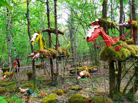 La Forêt des Géants Verts @C.Gary