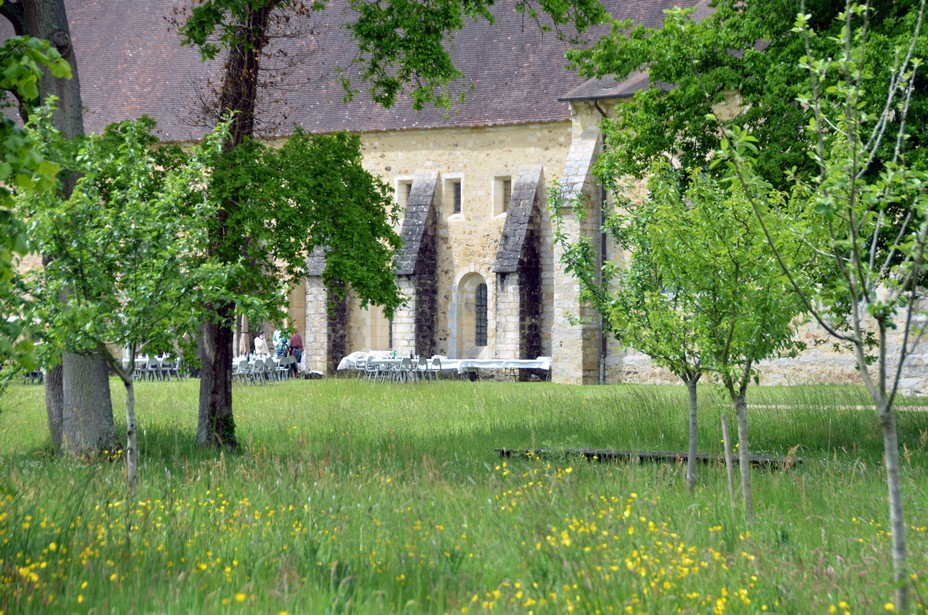 L’Abbaye dispose également d’un verger conservatoire, avec des pommes anciennes cultivées en partenariat avec les « Croqueurs de pommes » de la Sarthe @ David Raynal