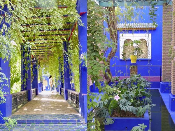 Quelques détours dans le bleu et le vert du Jardin de Majorelle @ C.Gary