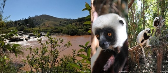 de Gauche à droite: Une vue de Madagascar; le Lémur Parc, un parc botanique où vivent différentes espèces de lémuriens  (Photos Yann Menguy)