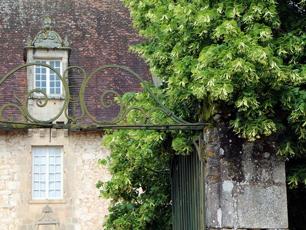 Pour les yeux comme pour les oreilles, une balade dans les jardins de la Borie  promet toujours d’être unique. (Crédit photo David Raynal). Pour les yeux comme pour les oreilles, une balade dans les jardins de la Borie  promet toujours d’être unique. (Crédit photo David Raynal).