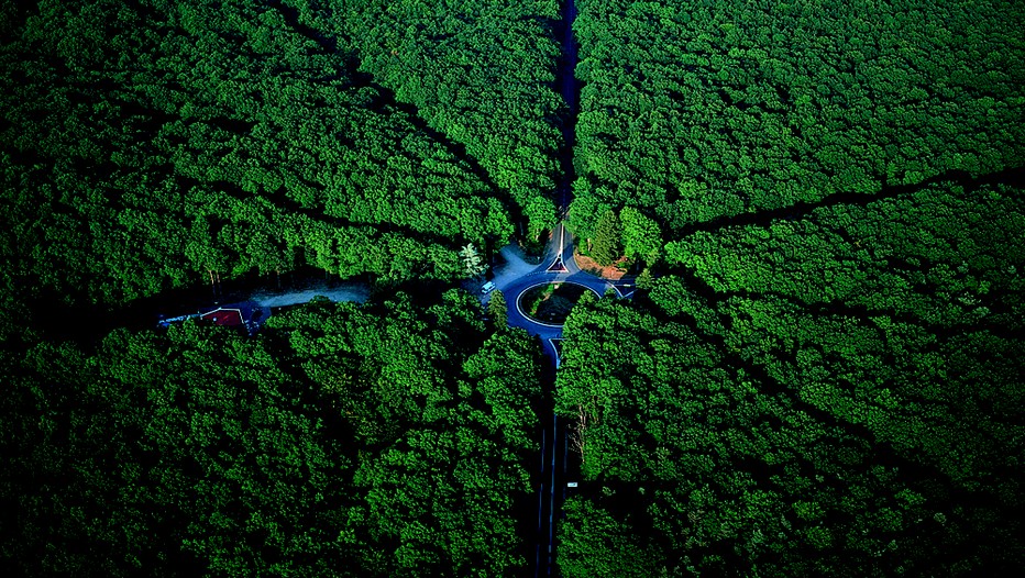 Carrefour de la forêt de Tronçais à Saint-Bonnet Tronçais (Crédit photo LECHENET Franck / CDT 03)