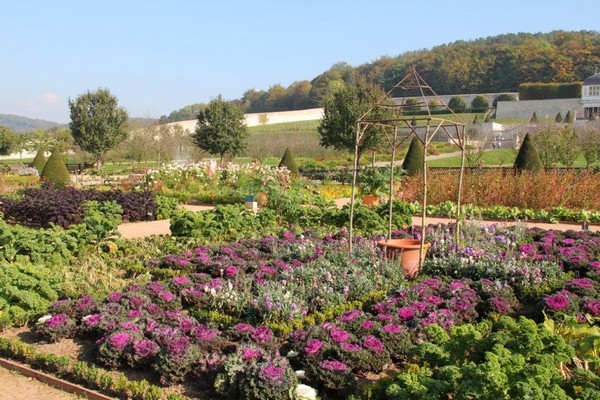 Jardins abbaye Saint-Georges de Boscherville. @A.Degon