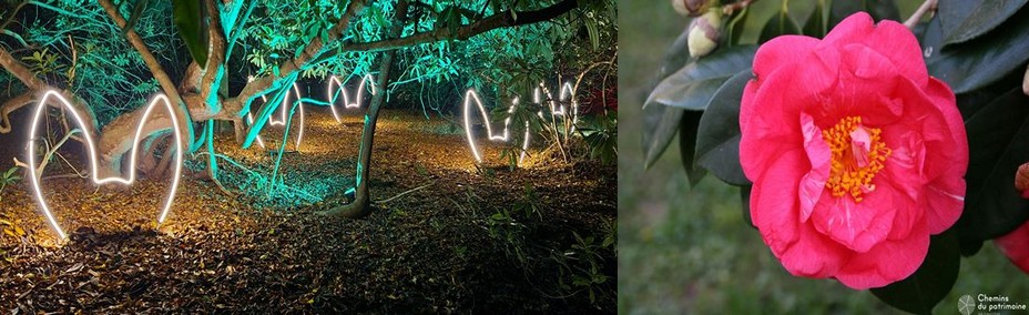 Les jardins du domaine de Trévarez mis en scène par la société rennaise Spectaculaires avec l'exposition de Dominique Richard avec pour thème Pinocchio @ David Raynal. En 2016, le Domaine de Trévarez a reçu une distinction internationale en devenant « Jardin d’excellence » pour sa collection de camélias. @Pascale Queré.