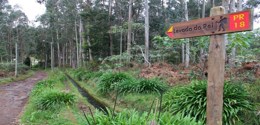 De nombreux chemins de randonneurs suivent le tracé des levadas.(Crédit photo André Degon)