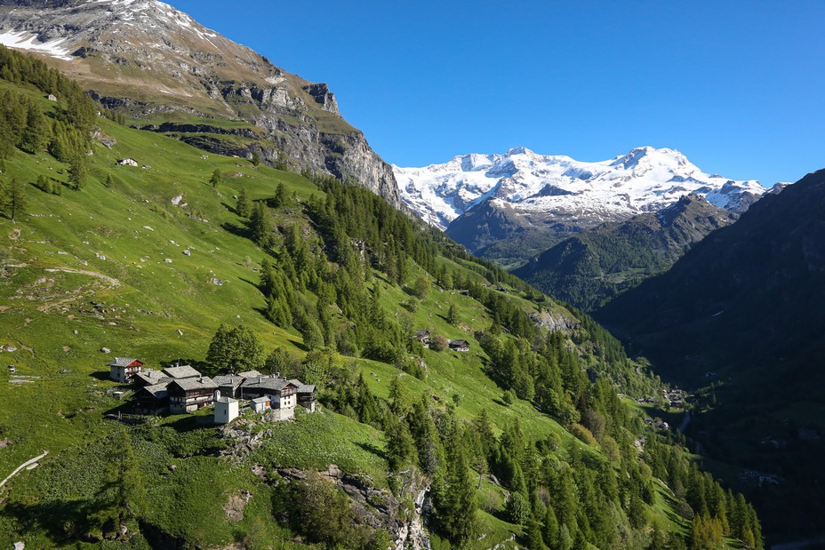 Alpages au pied du Mont Rose Monte Rosa  @Enrico Romanzi