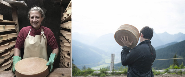 C’est en 1381 que le fromage de la Vallée de l'Abondance (Haute-Savoie) acquiert ses lettres de noblesse, car il est servi à la table du Pape en Avignon. @ DR C’est en 1381 que le fromage de la Vallée de l'Abondance (Haute-Savoie) acquiert ses lettres de noblesse, car il est servi à la table du Pape en Avignon. @ DR