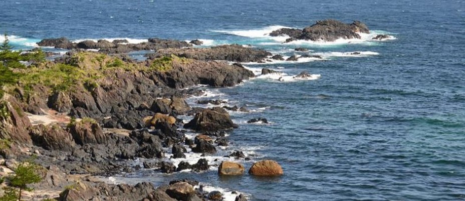 Diversité entre  forêts luxuriantes et douceur de l'eau  sur  l’île de Yakushima, au sud de Kyushu, dans l’archipel Osumi.@Tripadvisor