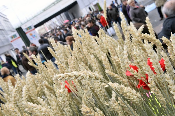 l'Odyssée Végétale permet  de vivre une expérience unique : grâce à un dispositif de *réalité augmentée, les visiteurs seront plongés au cœur d’une exploitation agricole  (Crédit Photo APFOUCHA/SIA 2014) l'Odyssée Végétale permet  de vivre une expérience unique : grâce à un dispositif de *réalité augmentée, les visiteurs seront plongés au cœur d’une exploitation agricole  (Crédit Photo APFOUCHA/SIA 2014)