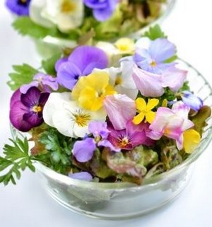 Tendance, les fleurs comestibles !  @ Guide Gastro