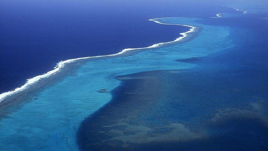 La Grande Barrière de corail est le plus grand récif corallien du monde1,2 comptant plus de 2 900 récifs et 900 îles s'étirant de Bundaberg à la pointe du Cap York soit plus de 2 600 kilomètres sur une superficie de 344 400 km². Le récif se situe en Mer de Corail au large du Queensland, en Australie.(Crédit photo DR)