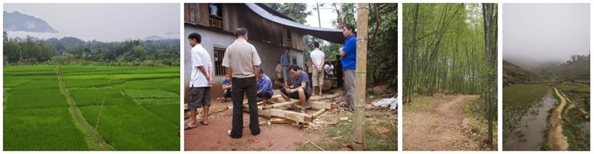 De gauche à droite :  Les terres sont redistribuées tous les vingt ans, pour que le sort ne soit pas de toute éternité ; 2/  Un homme très âgé, il a 89 ans, est dans sa dernière maladie. Le hameau prépare ses funérailles ; 3 et 4 /Après plusieurs heures de marche au milieu des champs, on pénètre dans une immense forêt de bambous.. (Crédit photos Yves Rinauro) De gauche à droite :  Les terres sont redistribuées tous les vingt ans, pour que le sort ne soit pas de toute éternité ; 2/  Un homme très âgé, il a 89 ans, est dans sa dernière maladie. Le hameau prépare ses funérailles ; 3 et 4 /Après plusieurs heures de marche au milieu des champs, on pénètre dans une immense forêt de bambous.. (Crédit photos Yves Rinauro)