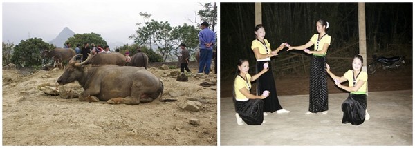 C'est l'heure pour les paysans  de faire rentrer  les bêtes : vaches et zébus se dirigent en se dandinant vers les étables, les buffles se rafraichissent dans les mares communales ; Le soir les femmes dansent la rituellle "danse du riz"  (Crédit photos Yves Rinauro) C'est l'heure pour les paysans  de faire rentrer  les bêtes : vaches et zébus se dirigent en se dandinant vers les étables, les buffles se rafraichissent dans les mares communales ; Le soir les femmes dansent la rituellle "danse du riz"  (Crédit photos Yves Rinauro)
