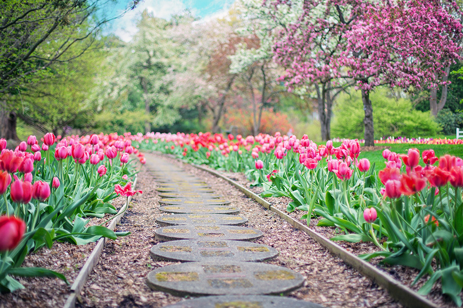 Printemps @ Pixabay Printemps @ Pixabay