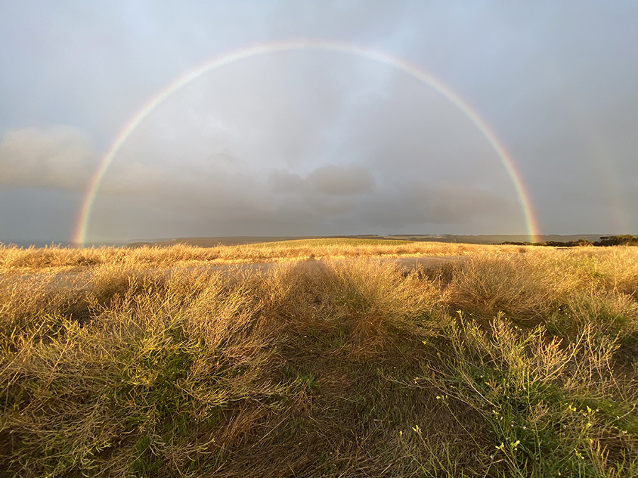 Kangaroo island, les  « Galapagos australiennes » pour la richesse de sa nature.  Crédit photos : Patrick Cros