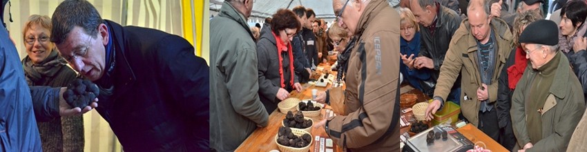 Chaque mercredi de décembre à février, professionnels et négociants se retrouvent sous les arcades de la mairie pour effectuer à l’abri des regards, leurs transactions. (Crédit photos David Raynal)