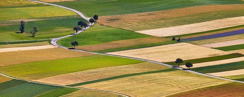 Thème de l'Expo-Milano 2015 : " Nourrir la Planète, Énergie pour la vie".(Crédit photo DR)