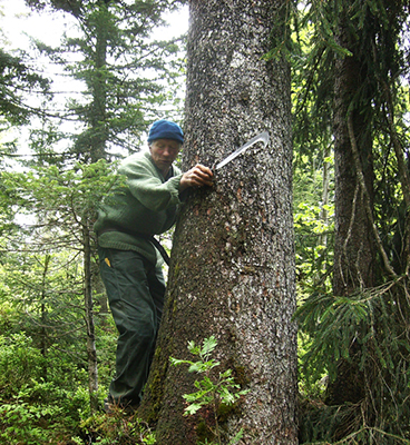 Le cueilleur d'arbres, Lorenzo Pellegrini, est un personnage qui a marqué la Vallée de Joux @ André Degon.