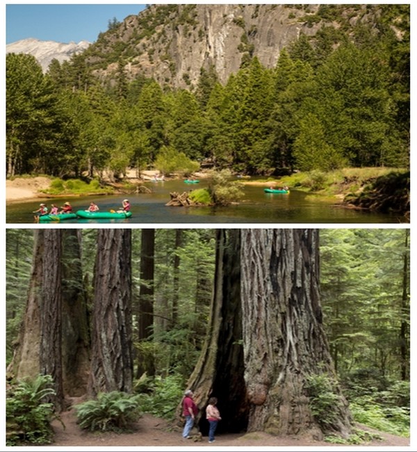 Photo du haut : Yosemite Descente en canoé de la rivière Merced  © DR ; Photo du bas : Les séquoias géants de Yosemite  © DR