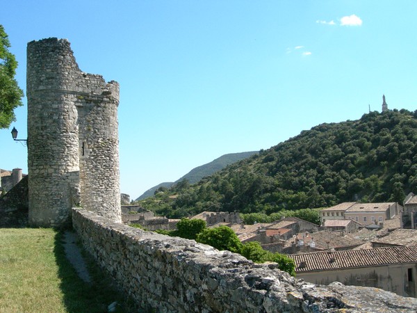 Panorama autour de la cité depuis le belvédère de Chateauvieux . © DR