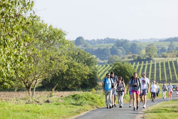 “Vignes, Vins et Randos” au cœur du Val de Loire. © DR
