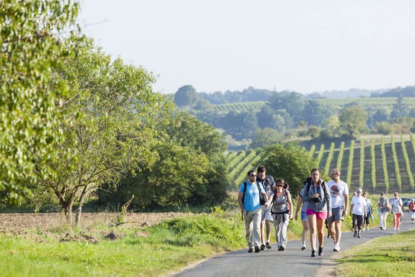 “Vignes, Vins et Randos” au cœur du Val de Loire. © DR “Vignes, Vins et Randos” au cœur du Val de Loire. © DR