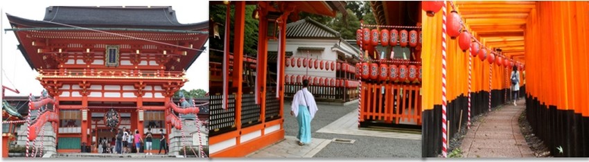 le Fushimi Inari-Taisha Shrine, classé en 2015 « site le plus populaire du Japon auprès des touristes étrangers » par Tripadvisor, qui déroule ses 4 kilomètres de torii rouge  © Mathis Cros.