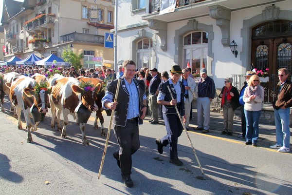 Fête de la Benichon. Cette fête marque la fin des travaux des champs. On parle alors de Bénichon de septembre, c’est aussi le moment de la descente des troupeaux en plaine après avoir passé tout l’été dans les pâtures de montagne : la désalpe, la « Rindyà » après la montée au printemps à l’alpage, la « Poya ».  © André Degon