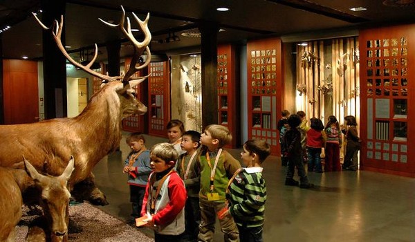 Le Musée national d’histoire naturelle propose aux enfants et aux adolescents une approche insolite de l’histoire naturelle, de l’évolution et de la biodiversité . (© visitluxembourg.com)